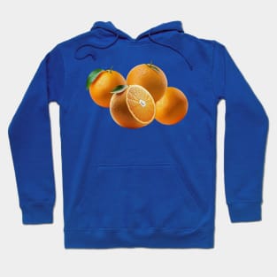 Fruit basket halloween group costume Hoodie